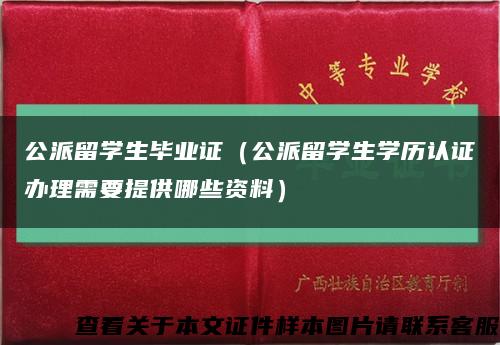 公派留学生毕业证（公派留学生学历认证办理需要提供哪些资料）缩略图