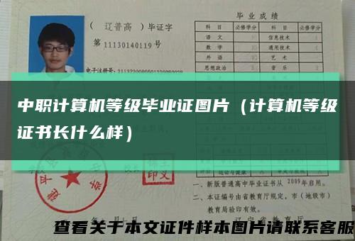 中职计算机等级毕业证图片（计算机等级证书长什么样）缩略图