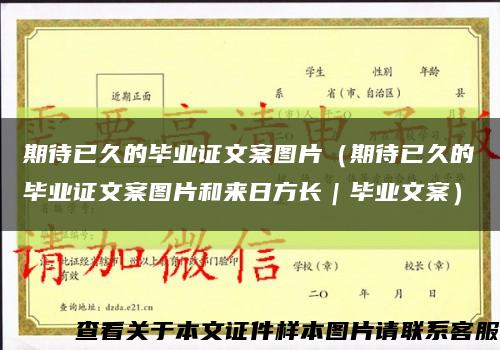 期待已久的毕业证文案图片（期待已久的毕业证文案图片和来日方长｜毕业文案）缩略图