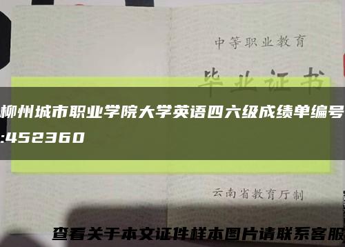 柳州城市职业学院大学英语四六级成绩单编号:452360缩略图