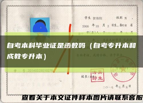 自考本科毕业证是函数吗（自考专升本和成教专升本）缩略图