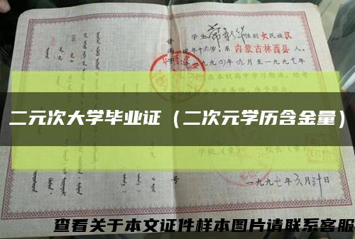 二元次大学毕业证（二次元学历含金量）缩略图