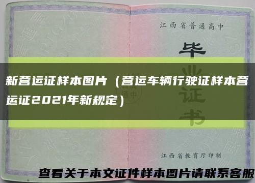 新营运证样本图片（营运车辆行驶证样本营运证2021年新规定）缩略图