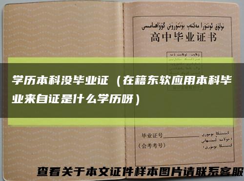 学历本科没毕业证（在籍东软应用本科毕业来自证是什么学历呀）缩略图