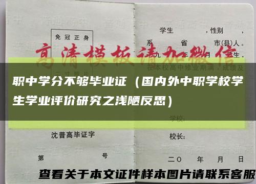 职中学分不够毕业证（国内外中职学校学生学业评价研究之浅陋反思）缩略图