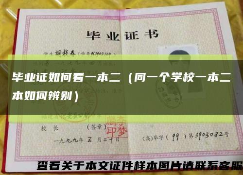 毕业证如何看一本二（同一个学校一本二本如何辨别）缩略图