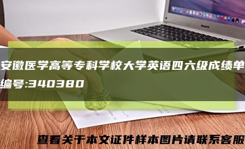 安徽医学高等专科学校大学英语四六级成绩单编号:340380缩略图
