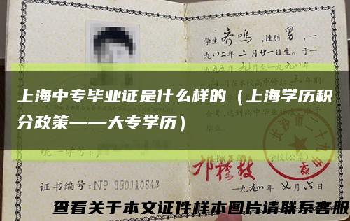 上海中专毕业证是什么样的（上海学历积分政策——大专学历）缩略图