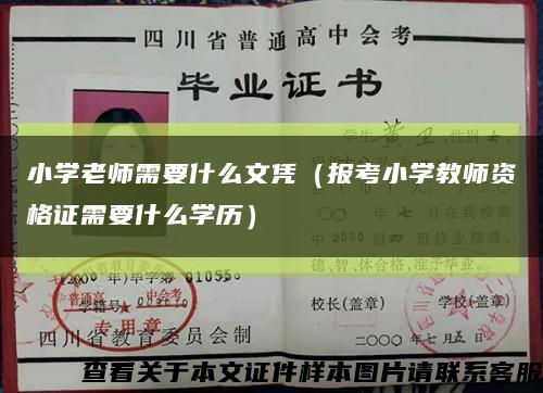 小学老师需要什么文凭（报考小学教师资格证需要什么学历）缩略图