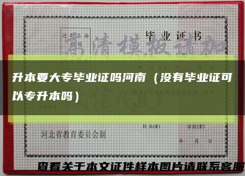 升本要大专毕业证吗河南（没有毕业证可以专升本吗）缩略图