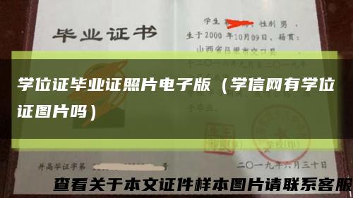 学位证毕业证照片电子版（学信网有学位证图片吗）缩略图