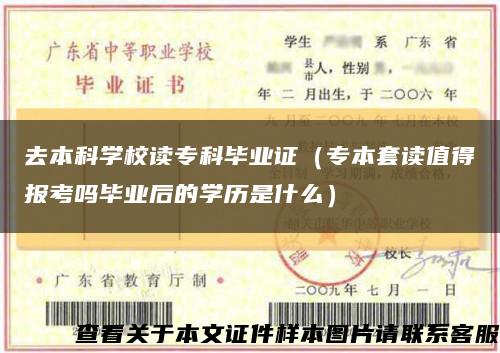 去本科学校读专科毕业证（专本套读值得报考吗毕业后的学历是什么）缩略图