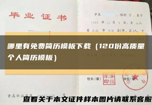 哪里有免费简历模板下载（120份高质量个人简历模板）缩略图