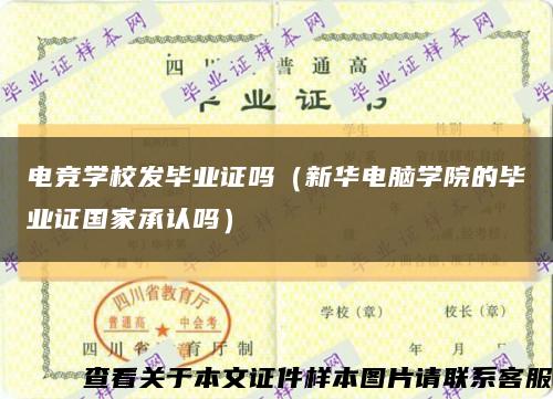 电竞学校发毕业证吗（新华电脑学院的毕业证国家承认吗）缩略图