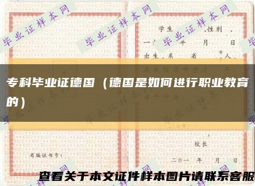 专科毕业证德国（德国是如何进行职业教育的）缩略图