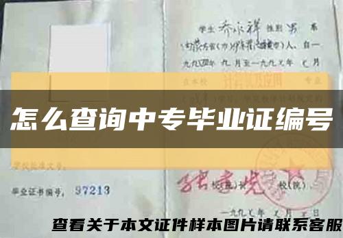 怎么查询中专毕业证编号缩略图