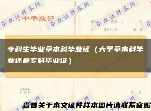 专科生毕业拿本科毕业证（大学拿本科毕业还是专科毕业证）缩略图