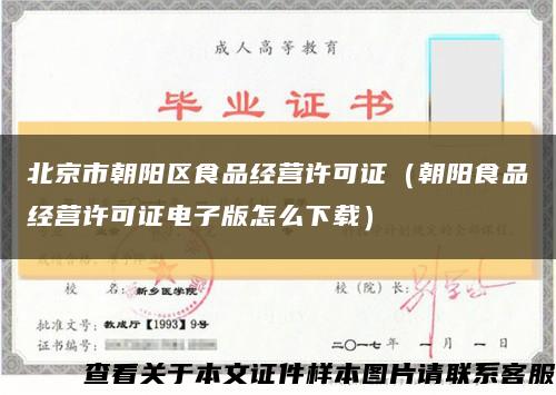 北京市朝阳区食品经营许可证（朝阳食品经营许可证电子版怎么下载）缩略图