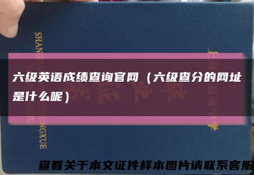 六级英语成绩查询官网（六级查分的网址是什么呢）缩略图