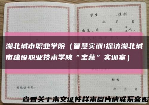 湖北城市职业学院（智慧实训!探访湖北城市建设职业技术学院“宝藏”实训室）缩略图