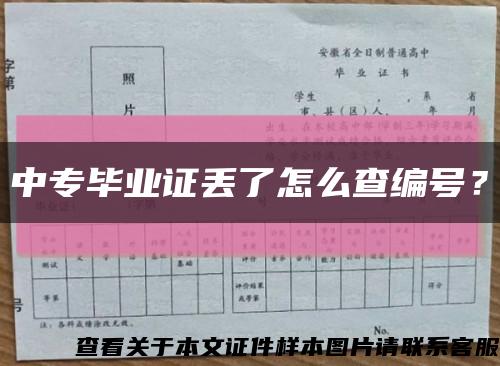 中专毕业证丢了怎么查编号？缩略图