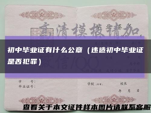 初中毕业证有什么公章（违造初中毕业证是否犯罪）缩略图