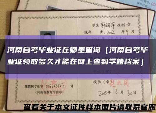 河南自考毕业证在哪里查询（河南自考毕业证领取多久才能在网上查到学籍档案）缩略图
