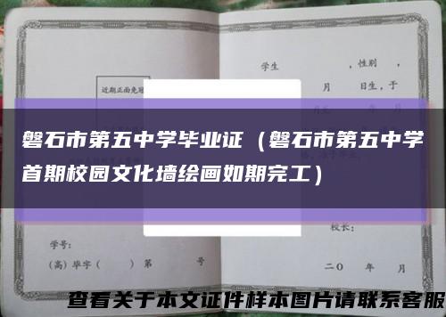 磐石市第五中学毕业证（磐石市第五中学首期校园文化墙绘画如期完工）缩略图