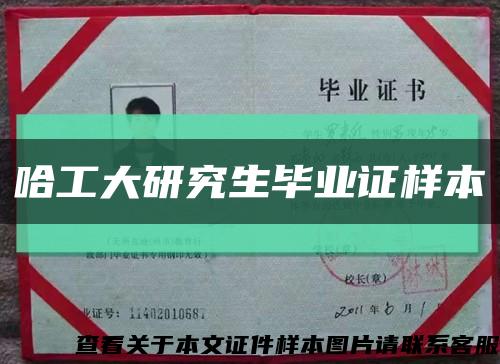 哈工大研究生毕业证样本缩略图