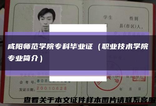 咸阳师范学院专科毕业证（职业技术学院专业简介）缩略图