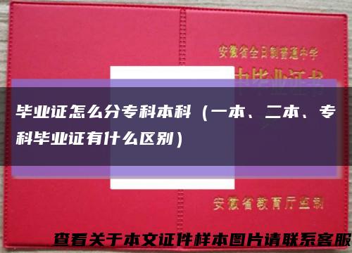 毕业证怎么分专科本科（一本、二本、专科毕业证有什么区别）缩略图