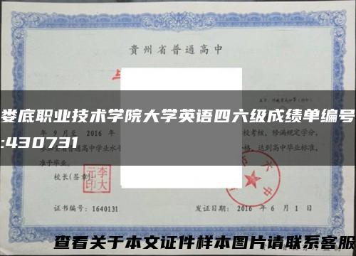 娄底职业技术学院大学英语四六级成绩单编号:430731缩略图