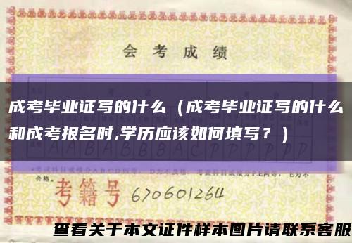 成考毕业证写的什么（成考毕业证写的什么和成考报名时,学历应该如何填写？）缩略图