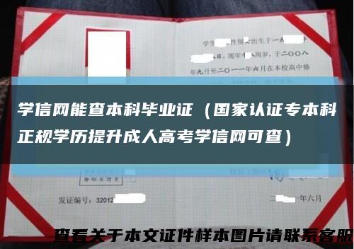 学信网能查本科毕业证（国家认证专本科正规学历提升成人高考学信网可查）缩略图