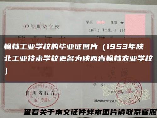 榆林工业学校的毕业证图片（1953年陕北工业技术学校更名为陕西省榆林农业学校）缩略图