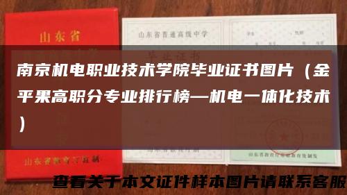 南京机电职业技术学院毕业证书图片（金平果高职分专业排行榜—机电一体化技术）缩略图