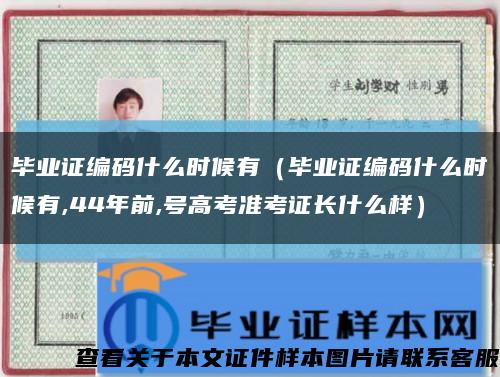 毕业证编码什么时候有（毕业证编码什么时候有,44年前,号高考准考证长什么样）缩略图