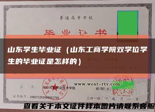 山东学生毕业证（山东工商学院双学位学生的毕业证是怎样的）缩略图