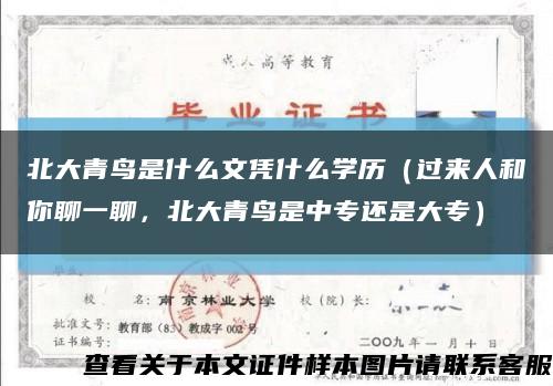 北大青鸟是什么文凭什么学历（过来人和你聊一聊，北大青鸟是中专还是大专）缩略图