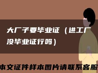 大厂子要毕业证（进工厂没毕业证行吗）缩略图