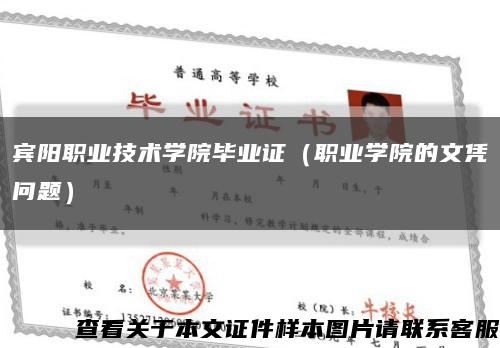 宾阳职业技术学院毕业证（职业学院的文凭问题）缩略图