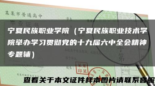 宁夏民族职业学院（宁夏民族职业技术学院举办学习贯彻党的十九届六中全会精神专题辅）缩略图