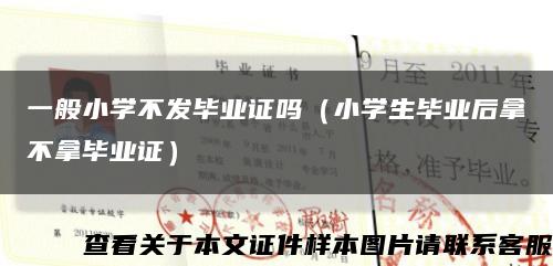 一般小学不发毕业证吗（小学生毕业后拿不拿毕业证）缩略图