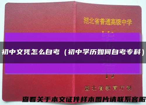 初中文凭怎么自考（初中学历如何自考专科）缩略图