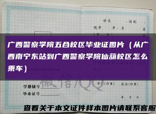 广西警察学院五合校区毕业证图片（从广西南宁东站到广西警察学院仙葫校区怎么乘车）缩略图