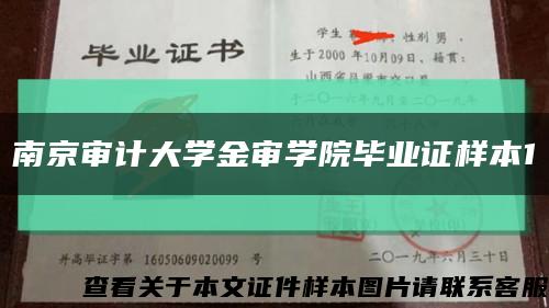 南京审计大学金审学院毕业证样本1缩略图