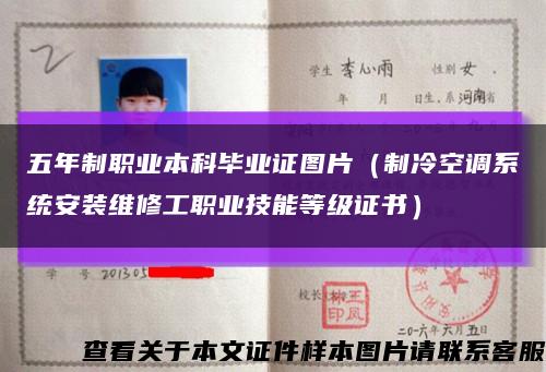 五年制职业本科毕业证图片（制冷空调系统安装维修工职业技能等级证书）缩略图