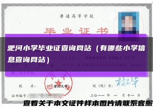 淝河小学毕业证查询网站（有哪些小学信息查询网站）缩略图