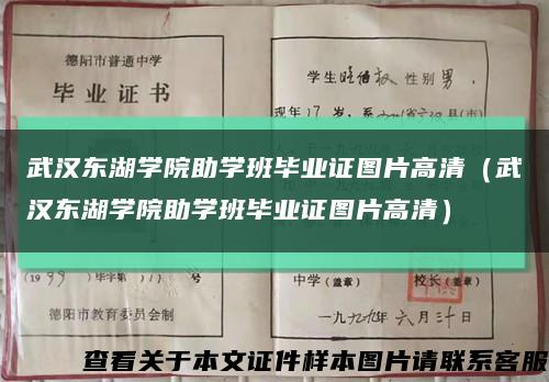 武汉东湖学院助学班毕业证图片高清（武汉东湖学院助学班毕业证图片高清）缩略图