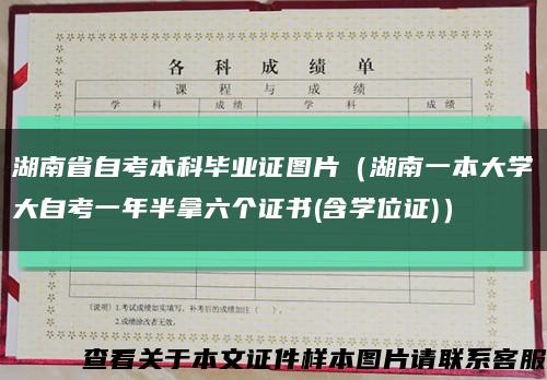 湖南省自考本科毕业证图片（湖南一本大学大自考一年半拿六个证书(含学位证)）缩略图